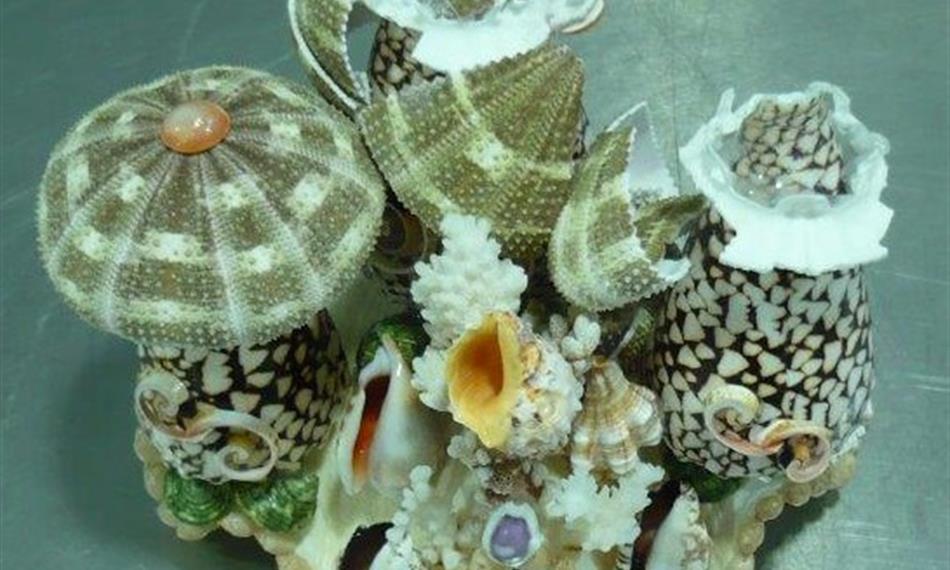 2016-6-28-817foto 4.jpg